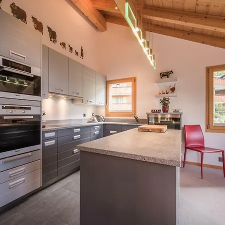 Fortuna 4 Penthouse Wengen